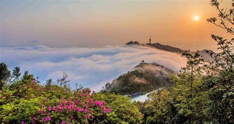 梧桐山|深圳市梧桐山风景名胜区